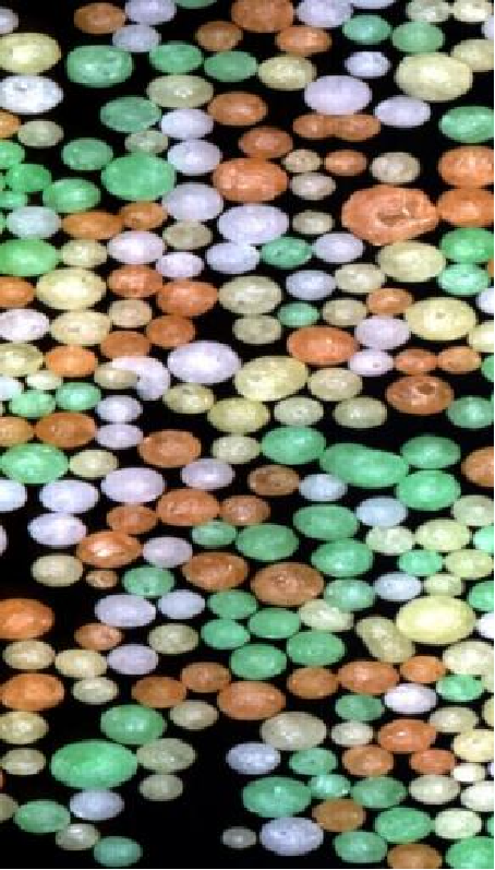 20251107115824689585.png 圖片9.png