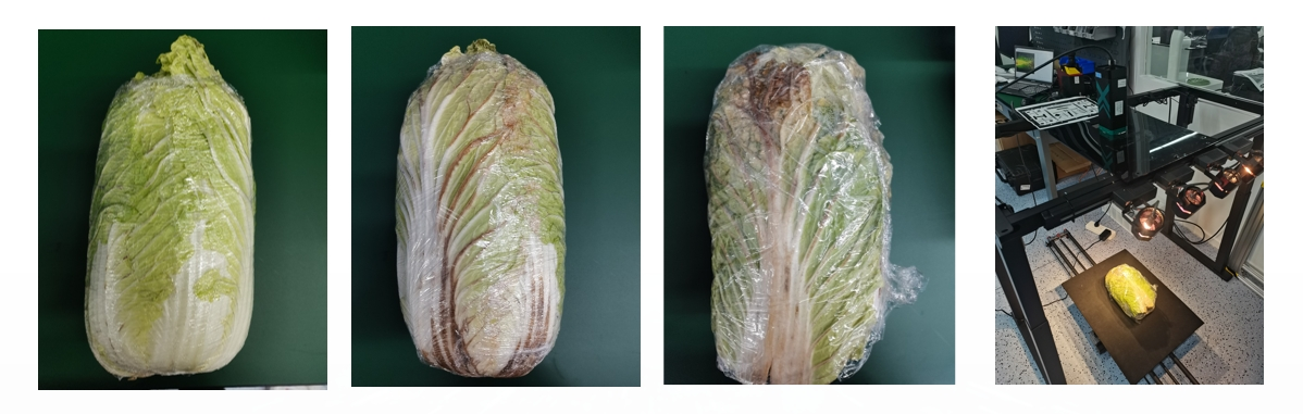 20251107141357443123.png 1.png