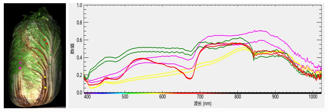 20251107141432503082.png 3.png