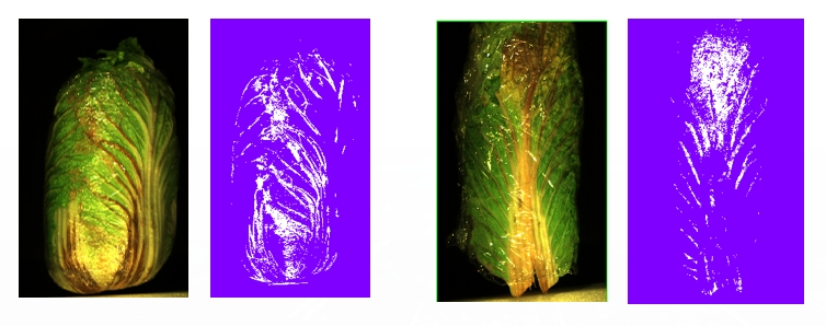 20251107141454802714.png 4.png