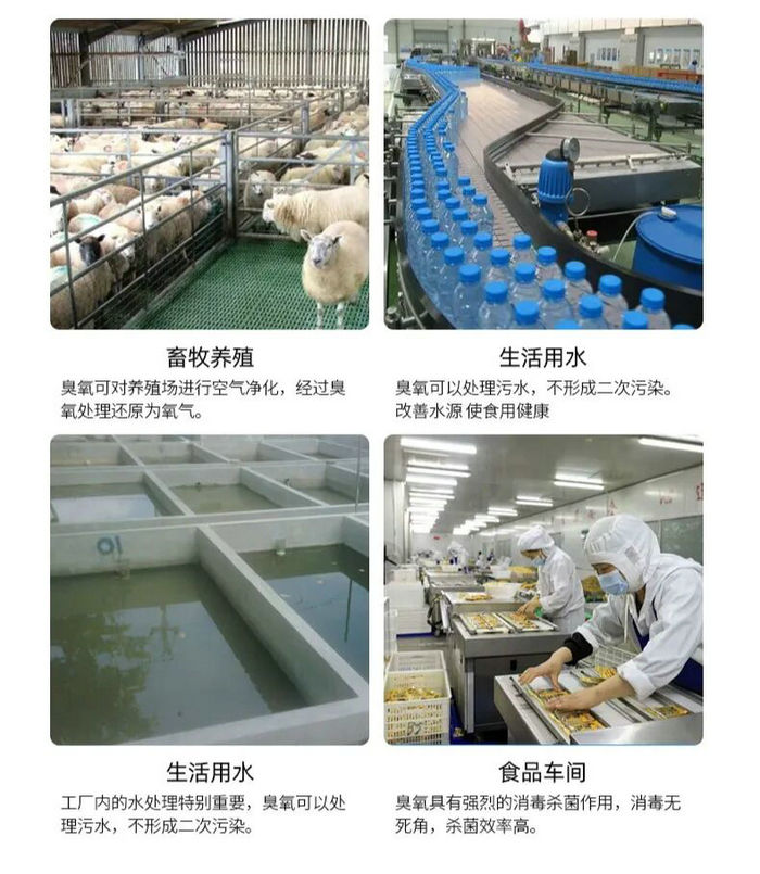 臭氧發(fā)生器